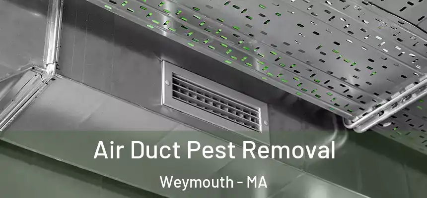 Air Duct Pest Removal Weymouth - MA