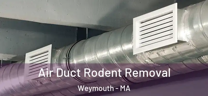  Air Duct Rodent Removal Weymouth - MA