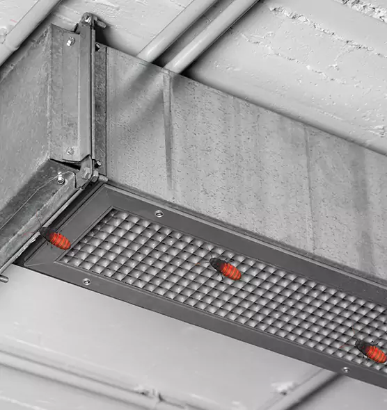 About Air Duct Cockroach Removal in Weymouth, MA