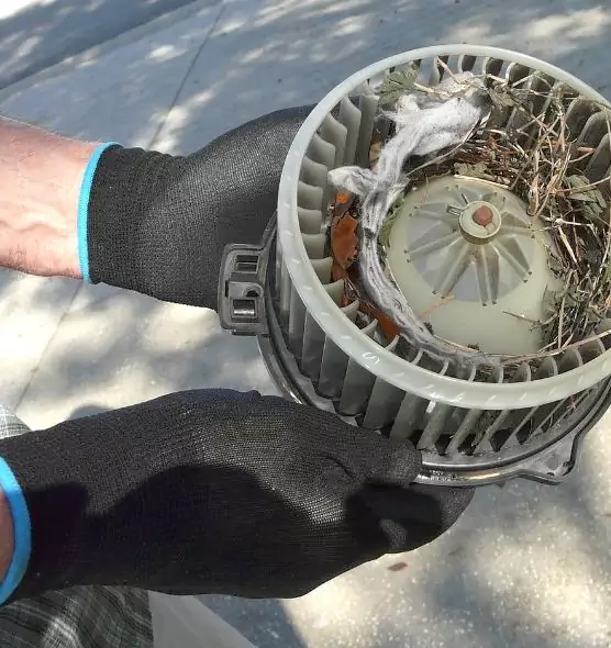 About Air Duct Rat Removal in Weymouth, MA