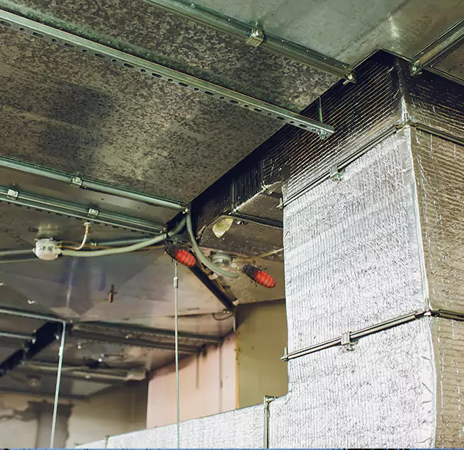 Why Homeowners & Businesses Trust Us in Weymouth, MA?