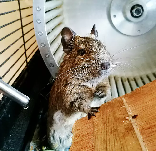 Why Homeowners & Businesses Trust Us Weymouth, MA