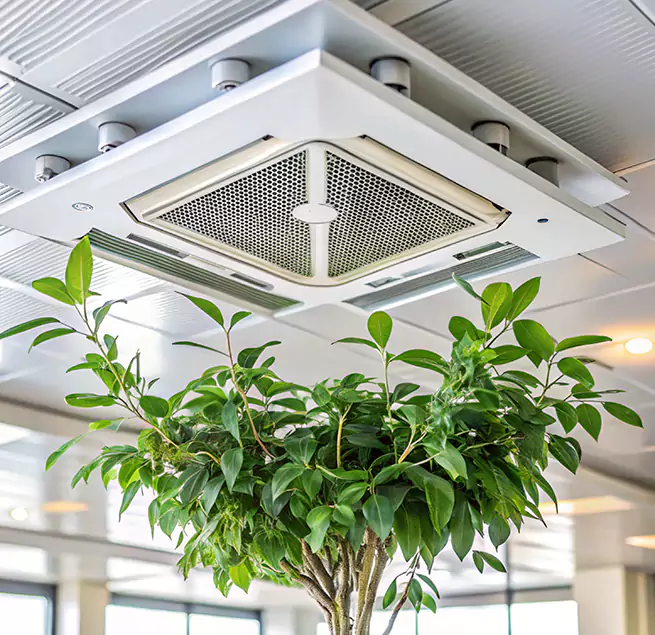 Why Homeowners & Businesses Trust Us in Weymouth, MA?